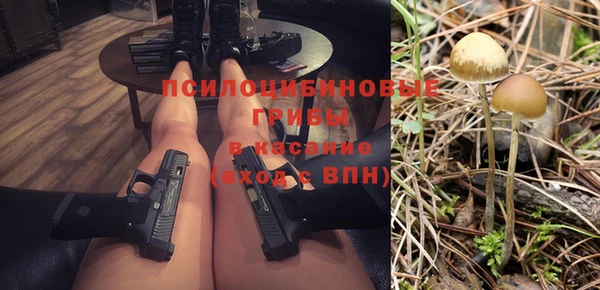 сатива Абаза