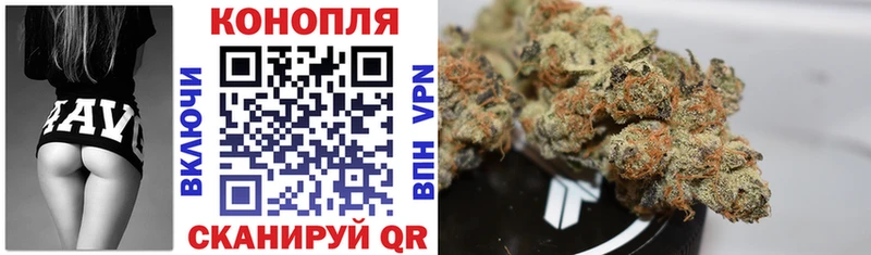Канабис Bruce Banner  Мыски 
